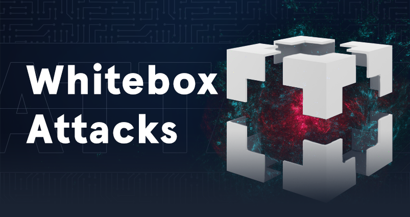 Whitebox Attacks